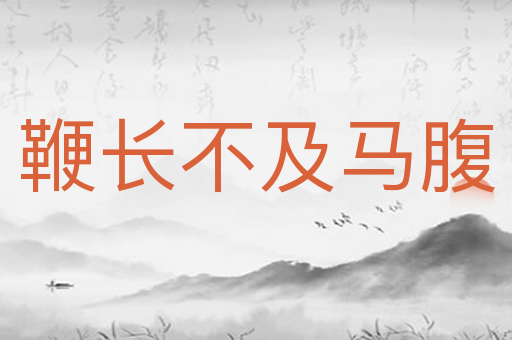 鞭长不及马腹
