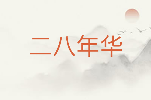 二八年华