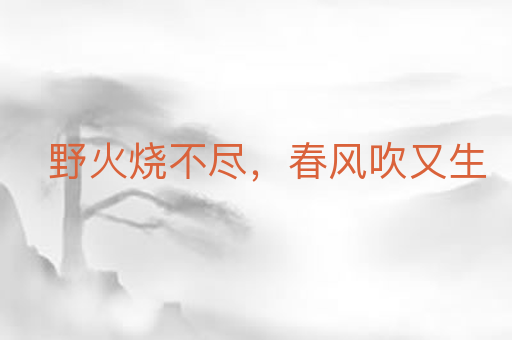野火烧不尽,春风吹又生