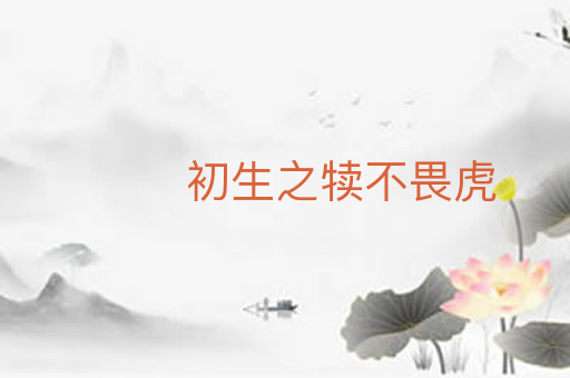 初生之犊不畏虎