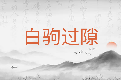 白驹过隙