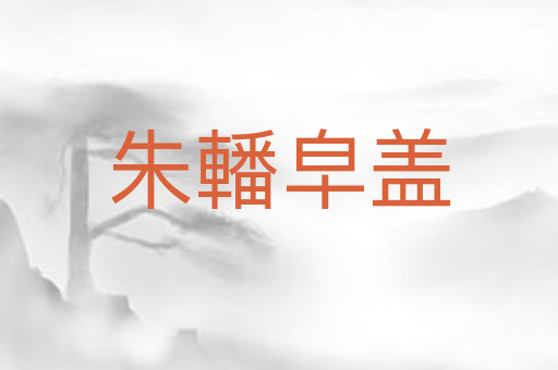 朱轓皁盖