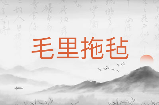 毛里拖毡