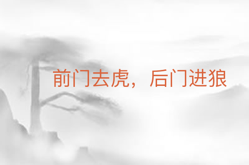 前门去虎,后门进狼