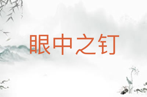 眼中之钉