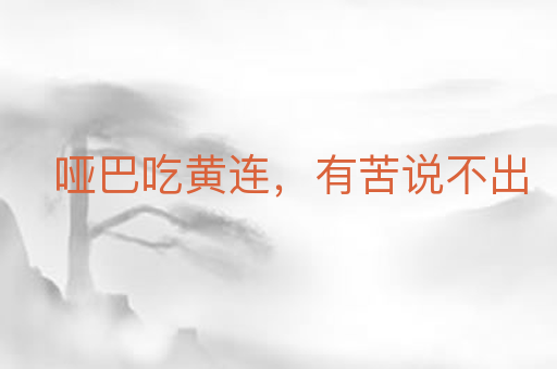 哑巴吃黄连,有苦说不出