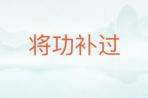 将功补过