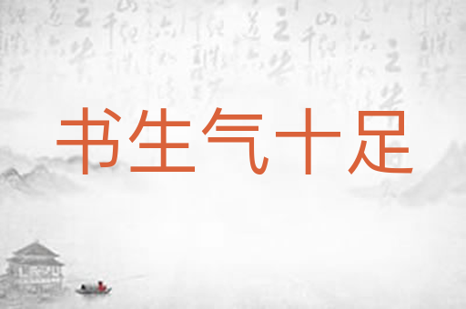 书生气十足