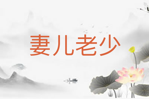 妻儿老少