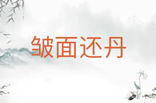 皱面还丹