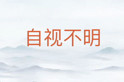 自视不明