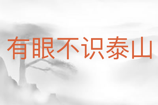 有眼不识泰山