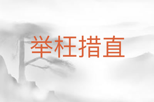举枉措直