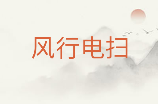 风行电扫
