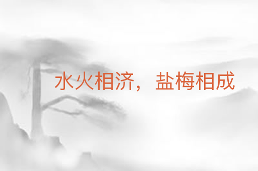 水火相济,盐梅相成