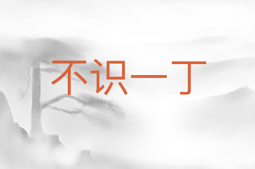 不识一丁