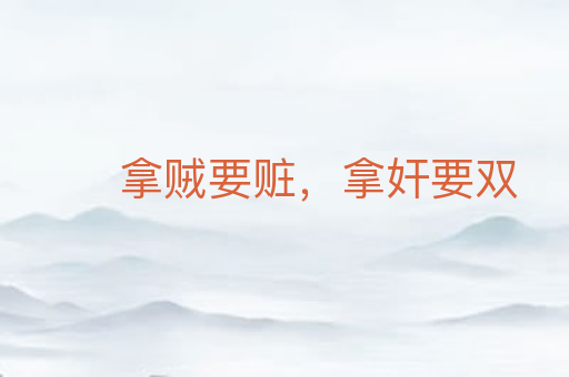 拿贼要赃，拿奸要双