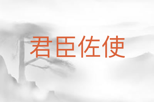 君臣佐使