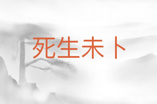 死生未卜