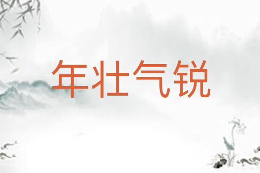 年壮气锐