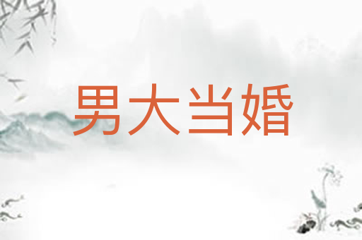 男大当婚