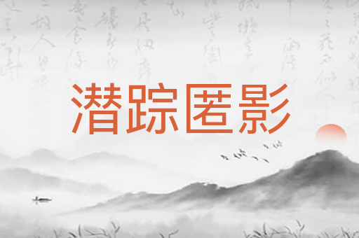 潜踪匿影
