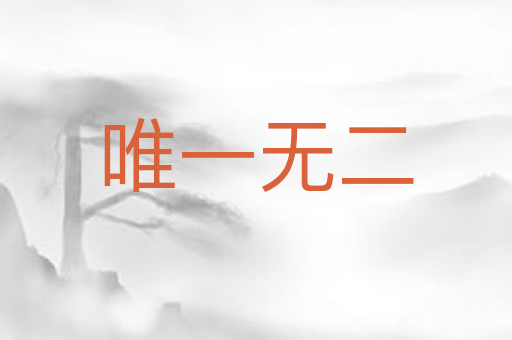 唯一无二