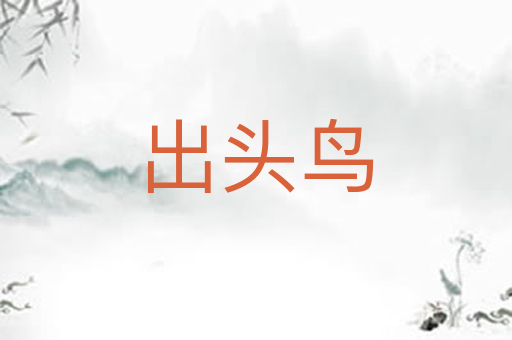 出头鸟