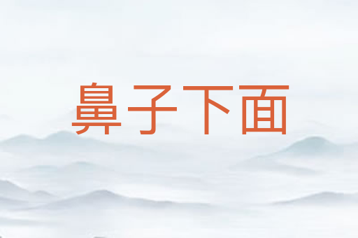 鼻子下面