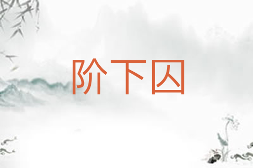 阶下囚