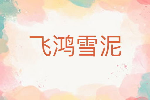 飞鸿雪泥