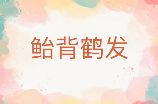 鲐背鹤发