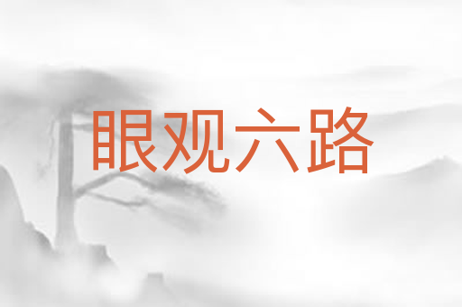 眼观六路
