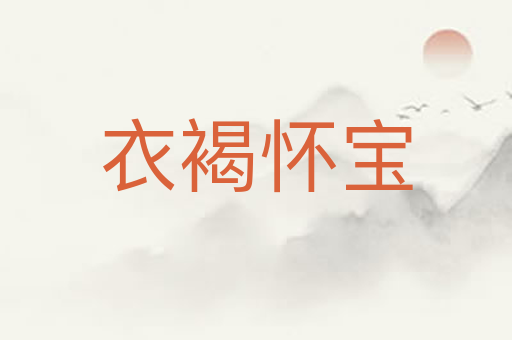 衣褐怀宝