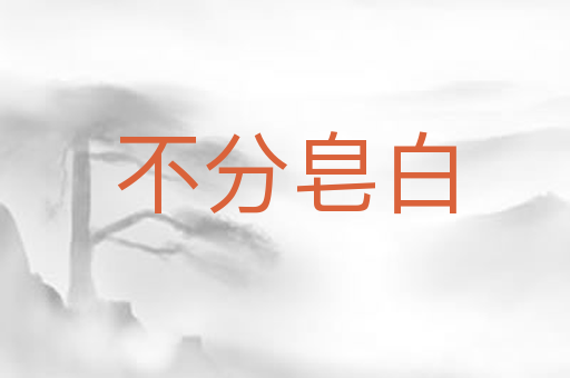 不分皂白