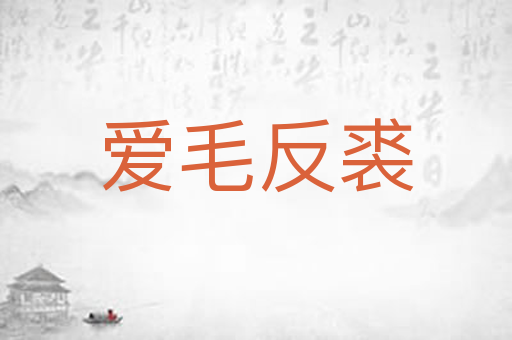 爱毛反裘