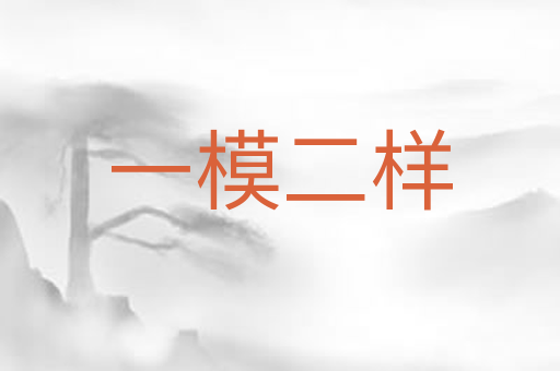 一模二样