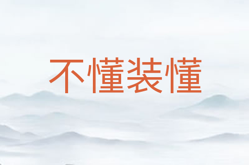 不懂装懂