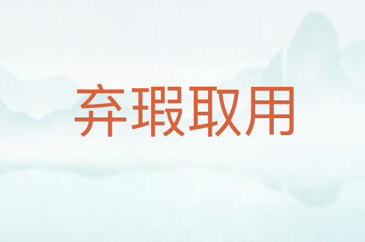 弃瑕取用