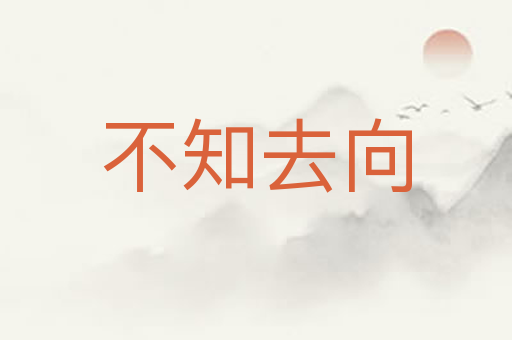 不知去向