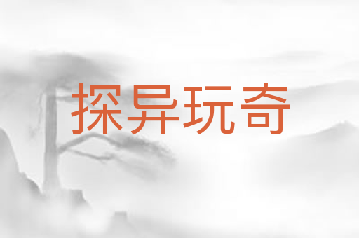 探异玩奇