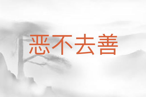 恶不去善