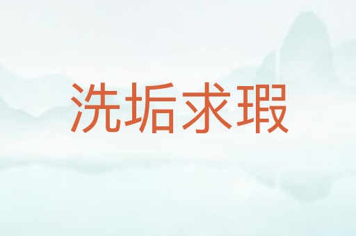 洗垢求瑕