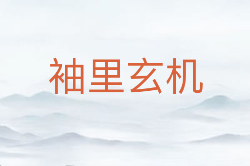 袖里玄机