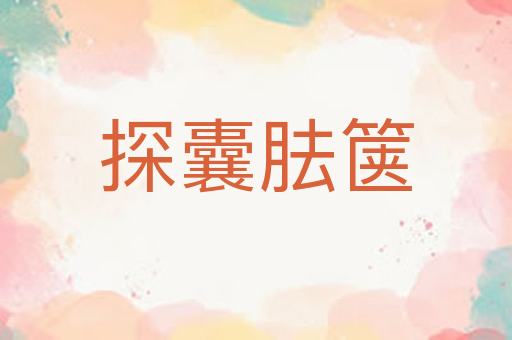 探囊胠箧