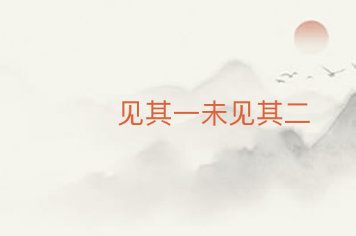 见其一未见其二