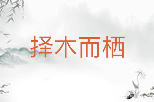 择木而栖