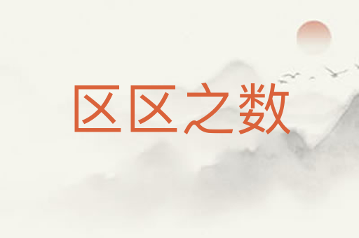 区区之数
