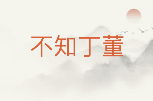 不知丁董