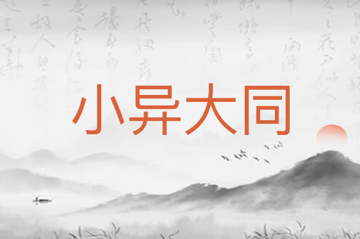 小异大同